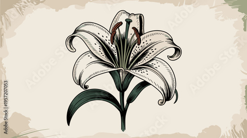 Gothic botanical lily with anatomical skeleton stamen – Suitable for biology education, mystery book covers, or vintage posters.