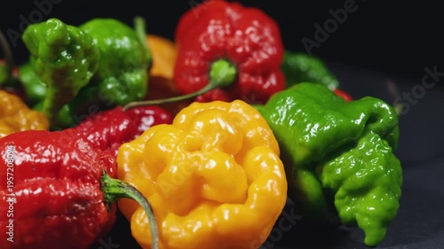 Colorful green, red and yellow peppers paprika background.