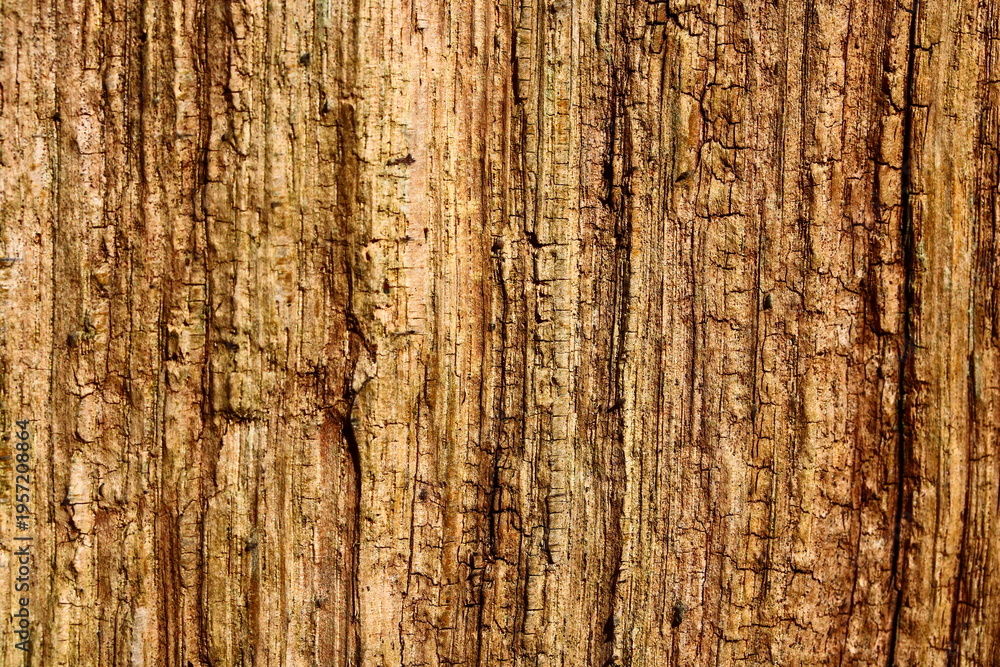 Obraz premium verwittertes Holz als Struktur und Hintergrund