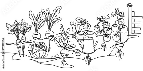 One Line Drawing Continuous Vector Of Vegetable Garden With Watering Can