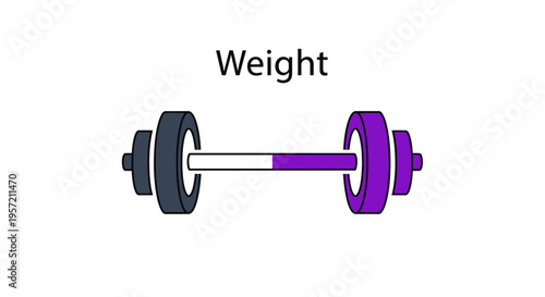 Weightlifting Barbell with Purple and Gray Plates for Strength Training and Fitness Progress