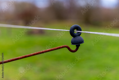 Принти на полотні Rustic hook securing a white line against a vibrant green backdrop on a calm day