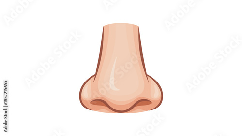 Human nose vector isolated on a white background. 