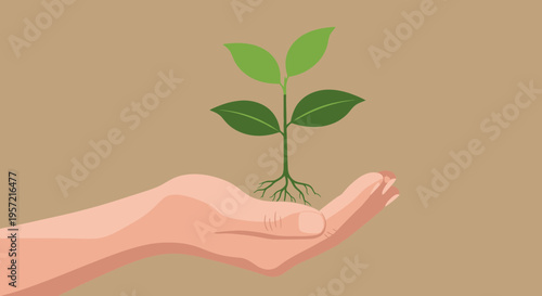 Hand holding a small green plant.