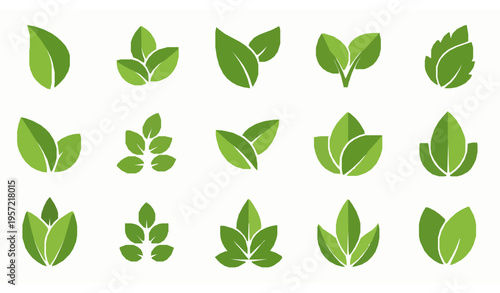 Flat green leaf vector collection for eco-friendly, natural, and botanical illustrations isolated on white background