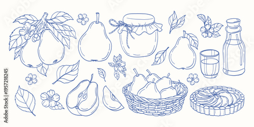 Line art depicts hand-drawn pears, a jar, flowers, and leaves. The sketch includes a basket of pears and a bottle. It uses a clean, blue outline style. Suitable for food blogs, cookbooks