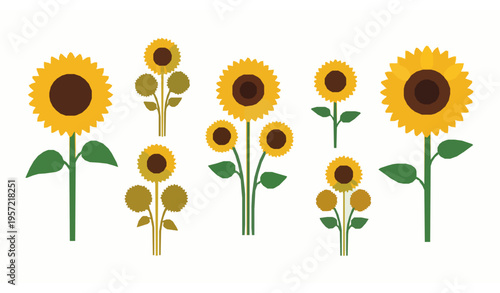 Flat style summer sunflower vector set with single flowers and bouquets isolated on white for floral and seasonal design
