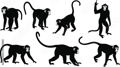 Monkey black silhouette vector set, wild primate jungle animal icons collection, forest wildlife, cad drawing flat vector illustration, flavector.