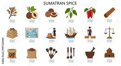 Sumatran Spice Infographic Elements Collection.