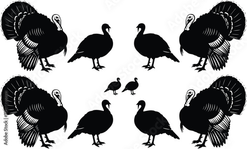 Turkey bird black silhouette vector set, thanksgiving holiday farm animal icons, autumn season poultry collection, cad drawing flat vector illustration, flavector.