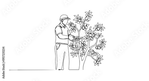 Man pruning tree one line drawing. Continuous line art of a gardener trimming a fruit bush. Minimalist vector illustration isolated on white