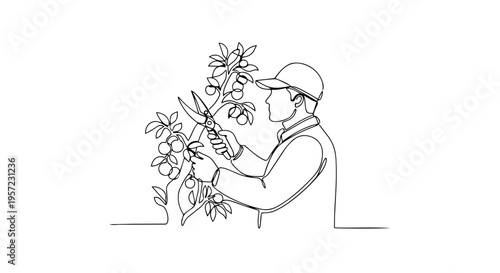 Gardener pruning fruit tree one line drawing. Continuous line art of a man trimming branches with shears. Minimalist vector illustration
