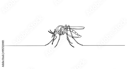 One line drawing of a mosquito. Minimalist continuous line art of an insect pest. Vector illustration of a mosquito isolated on white background