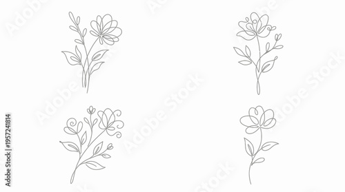 Elegant minimalist line art illustrations of various flowers and botanical elements, perfect for design projects and decorative purposes.