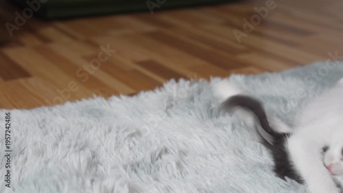 Playful White Kitten Engaged with Toy Mouse on Soft Fur Rug in Cozy Indoor Setting
