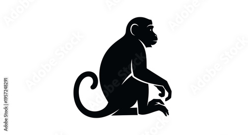 Black silhouette of a monkey sitting and looking to the side on a white background
