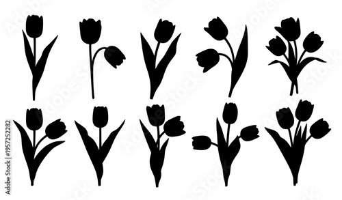 Tulip Flower Silhouette Collection with Elegant Floral Designs for Spring Decoration, Botanical Illustration, Garden Themes, and Nature Inspired Vector Graphics