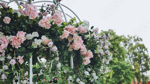 Pink and white roses and hydrangeas decorating a white metallic gazebo