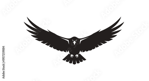 Silhouette of a black hawk in flight, spreading wings wide against a white background.