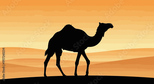 Silhouette of a dromedary camel walking across desert dunes at sunset.