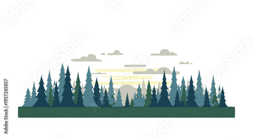 Evergreen trees in a forest landscape.