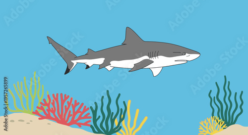 Gray shark swimming in ocean water 1.