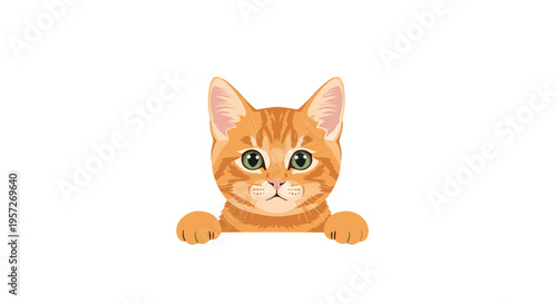 A cute orange tabby kitten's head and front paws peek over a horizontal edge on a clean white background.