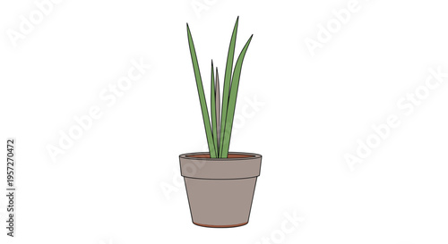 A single potted plant with long green leaves and a central bud is depicted in a brown pot against a plain white background.