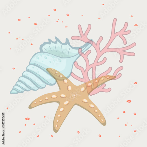 Color illustration with sea mollusks.Vector color illustration with sea shells and corals on transparent background.