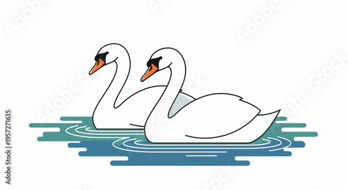 Two white swans on water surface.