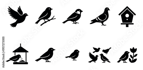 This collection of black silhouettes features various bird poses including flying, perching on a branch, feeding from a birdhouse, and a group of birds with a tulip.