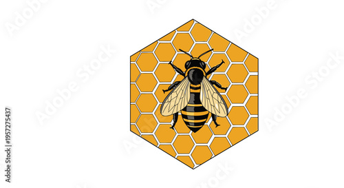 Black and yellow striped honey bee.