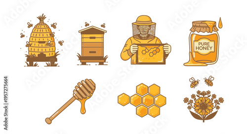 Honey bee hive and honeycomb elements.