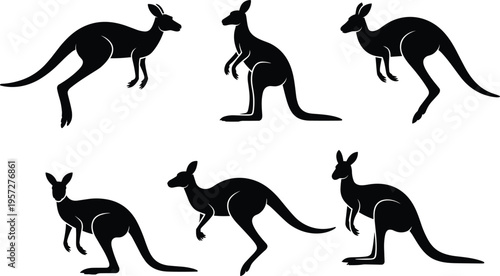 Kangaroo silhouette collection, jumping and standing marsupial set, Australian wildlife animal vector icons, black isolated wallaby shapes, outback nature symbols.