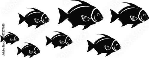 Tropical fish school silhouette swimming
