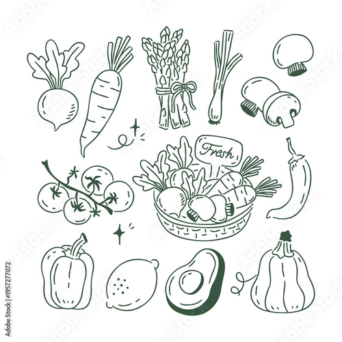 Hand drawn line art collection of fresh vegetables and organic farmers market elements on white background.