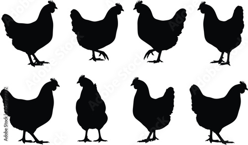 Hen chicken silhouette flock set