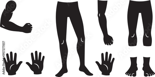 Human Anatomy Silhouettes: Arms, Legs, Hands, and Feet