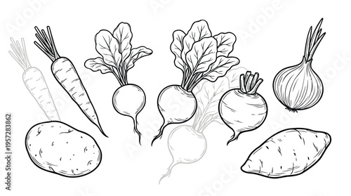 Wholesome array of garden-fresh root vegetables and hand-drawn onions, intricately sketched in black and white line art, symbolizing healthy living and farm-to-table goodness