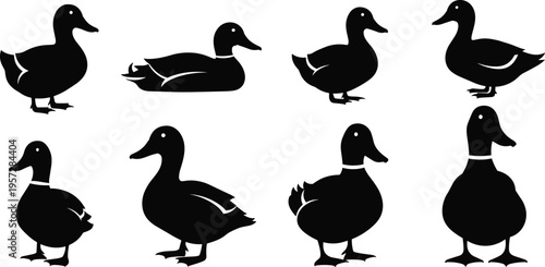 Duck silhouettes vector illustration design artwork, bird wildlife nature branding art concept, black and white decorative creative collection