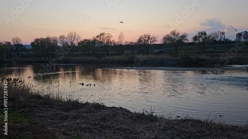 서울 중랑천 노을 강 오리 차량 영상