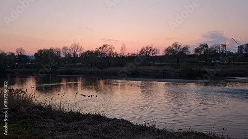 Sunset River Ducks Traffic Seoul 노을 강 오리 차량 영상