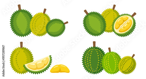 Collection of durian fruits both whole and cut open displayed neatly