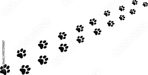 Paw Print Trail Black Animal Track Path Dog Cat Walking Vector Illustration