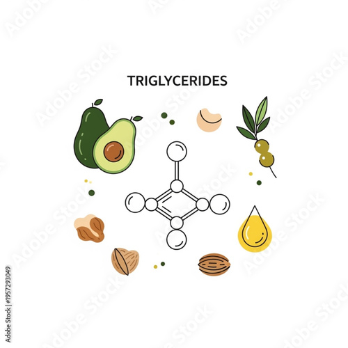 Triglycerides Vector Illustration, Molecular Structure with Healthy Foods like Avocado, Nuts, and Olive Oil