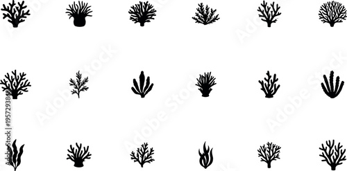 coral and seaweed silhouettes set, marine reef plants and underwater ocean flora collection, black aquatic nature shapes vector illustration isolated on transparent background