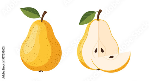 Illustration of a whole pear and a halved pear with a slice