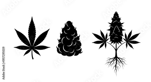 Black silhouette illustrations of cannabis plants in various growth stages