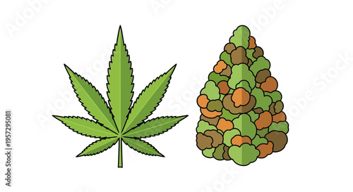 Illustration of a cannabis leaf and a dense marijuana bud
