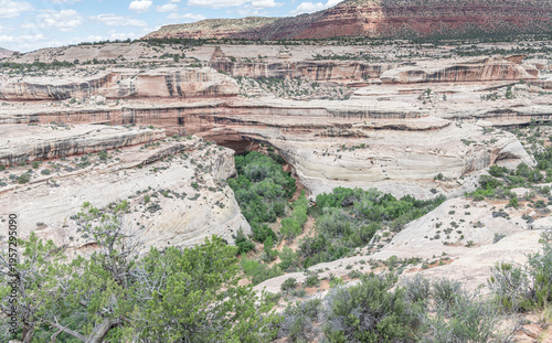 Wallpaper Mural Kachina Natural Bridge and meanders of the Armstrong Canyon in Natural Bridges National Monument, Utah, USA Torontodigital.ca
